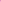 Cavalli Class Robes Femme Rose - stylesgateway