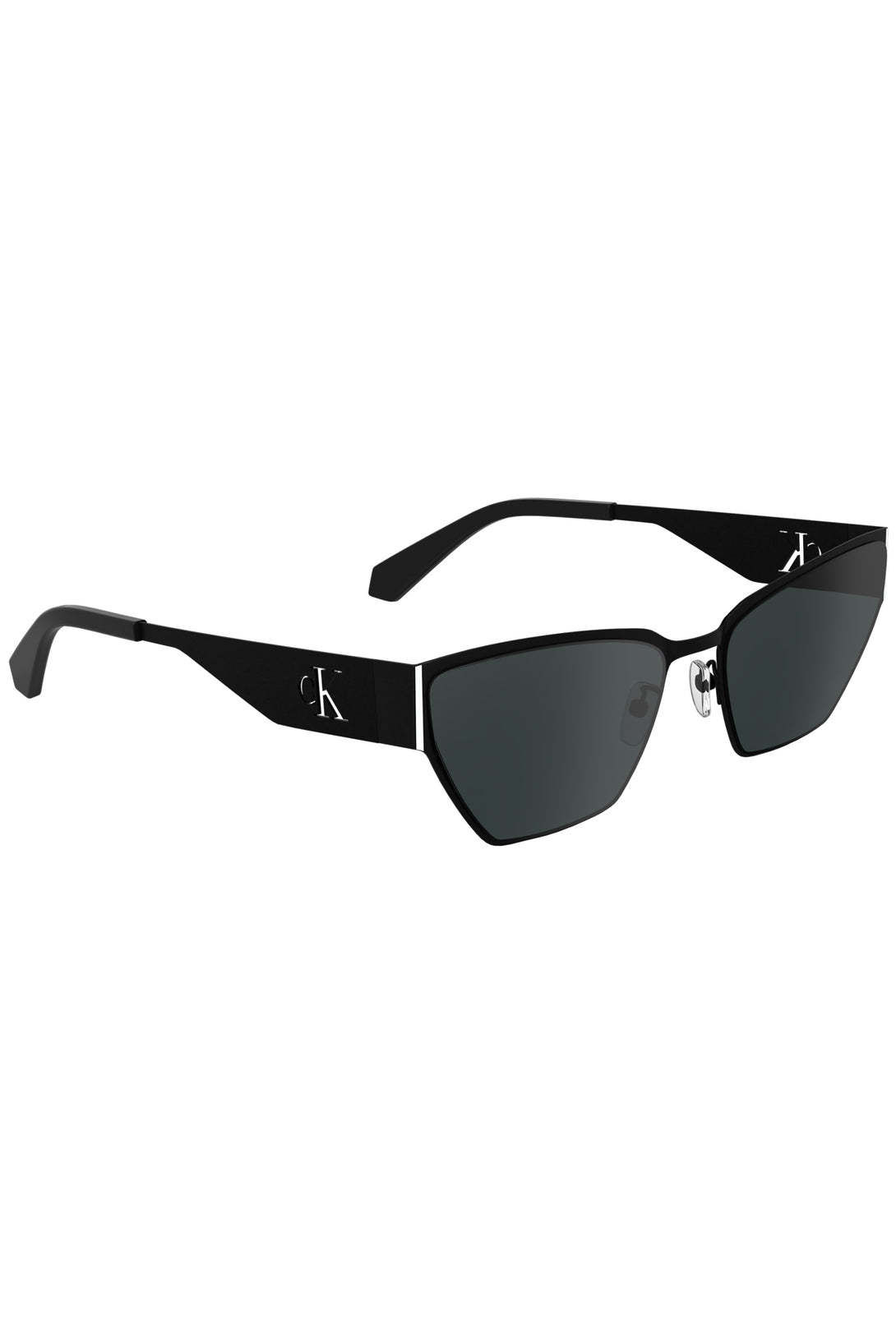 Calvin Klein Lunettes de soleil Femme Noir - stylesgateway