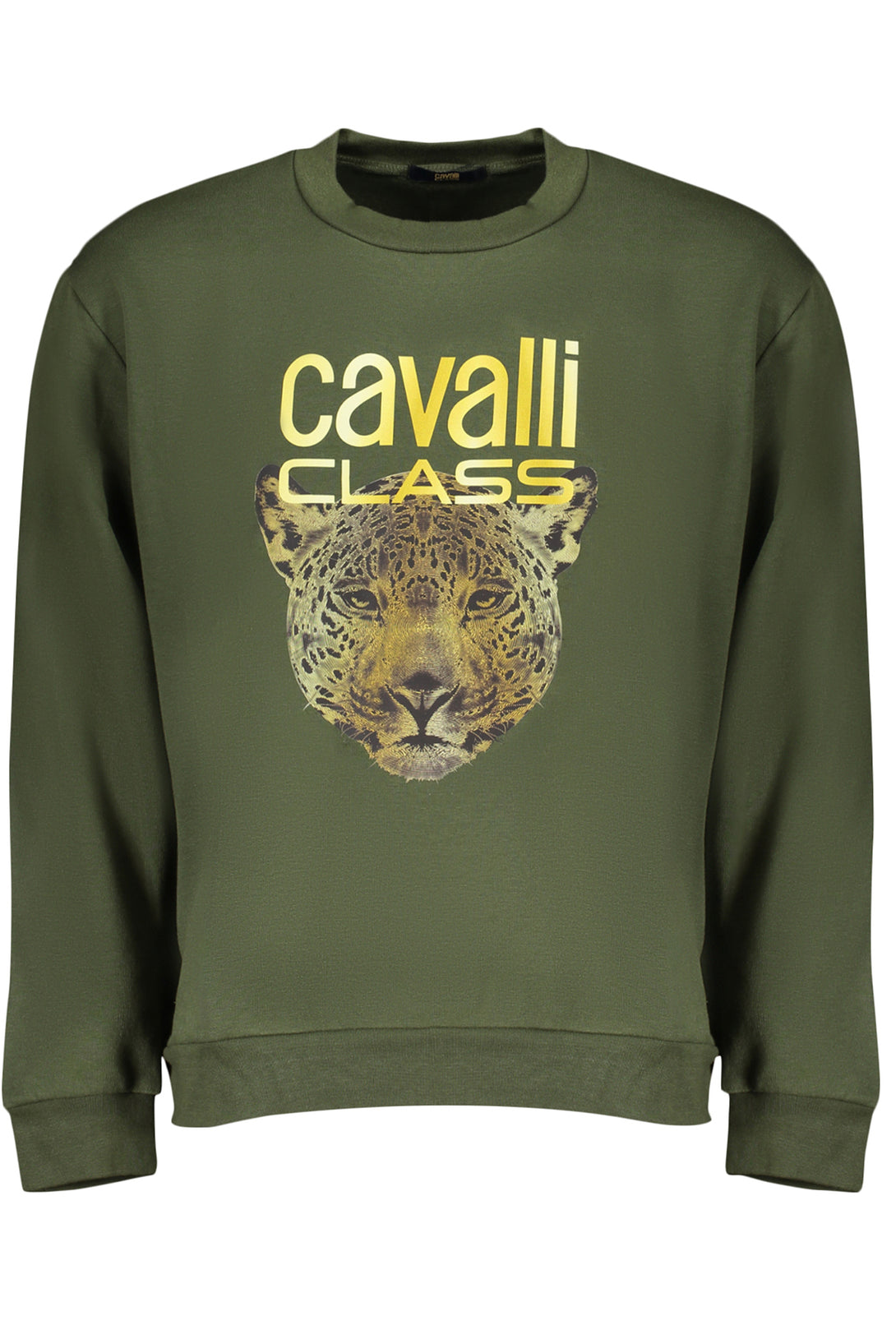 Cavalli Class Sweatshirts Homme Vert - stylesgateway