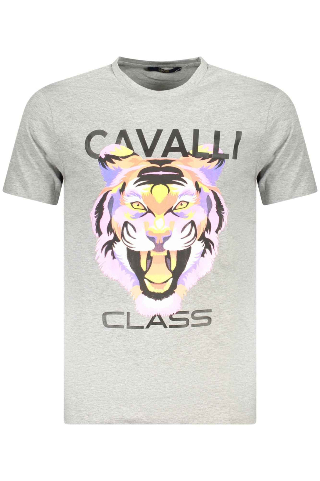 Cavalli Class T-shirts Homme Gris - stylesgateway