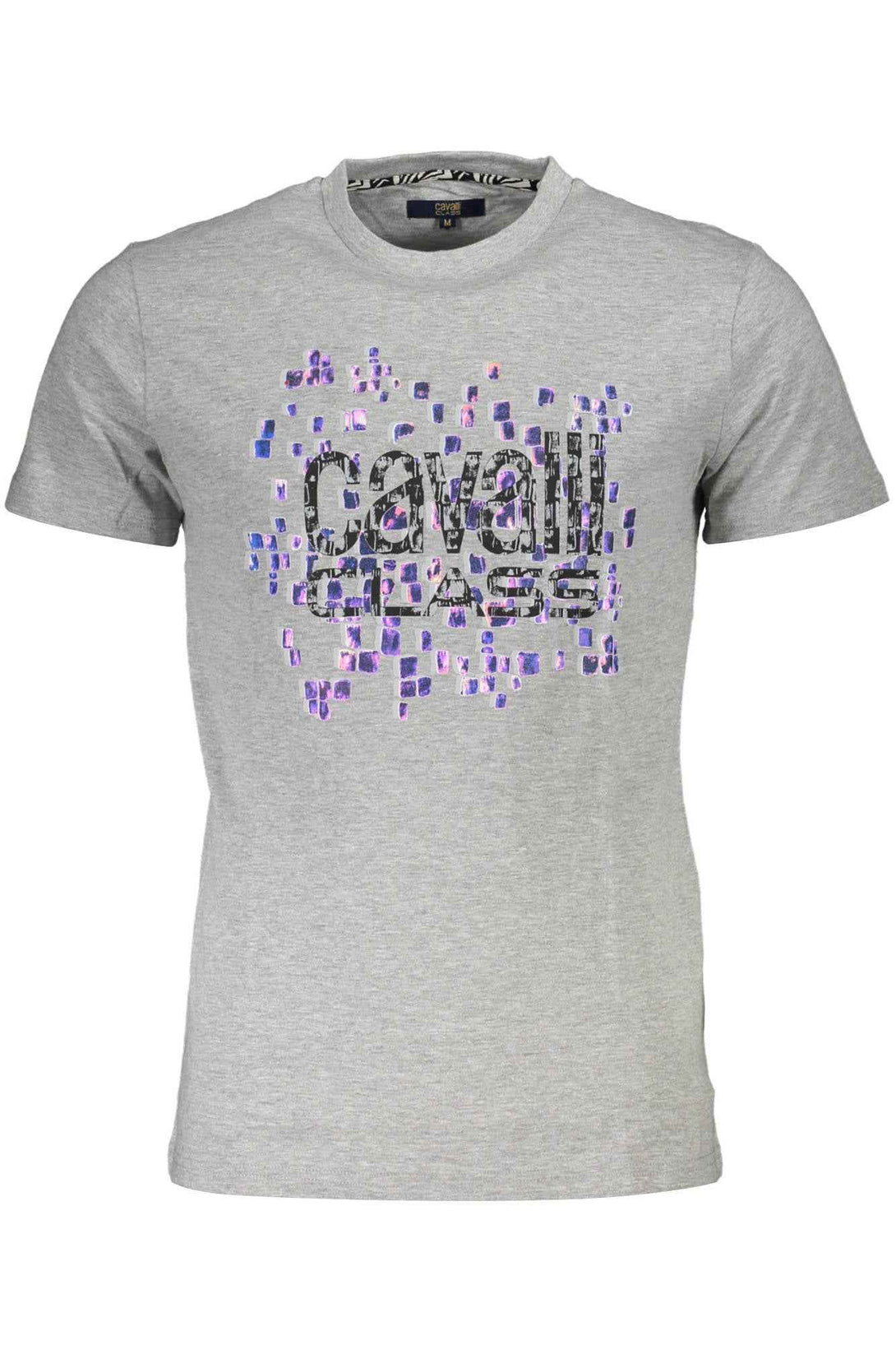 Cavalli Class T-shirts Homme Gris - stylesgateway