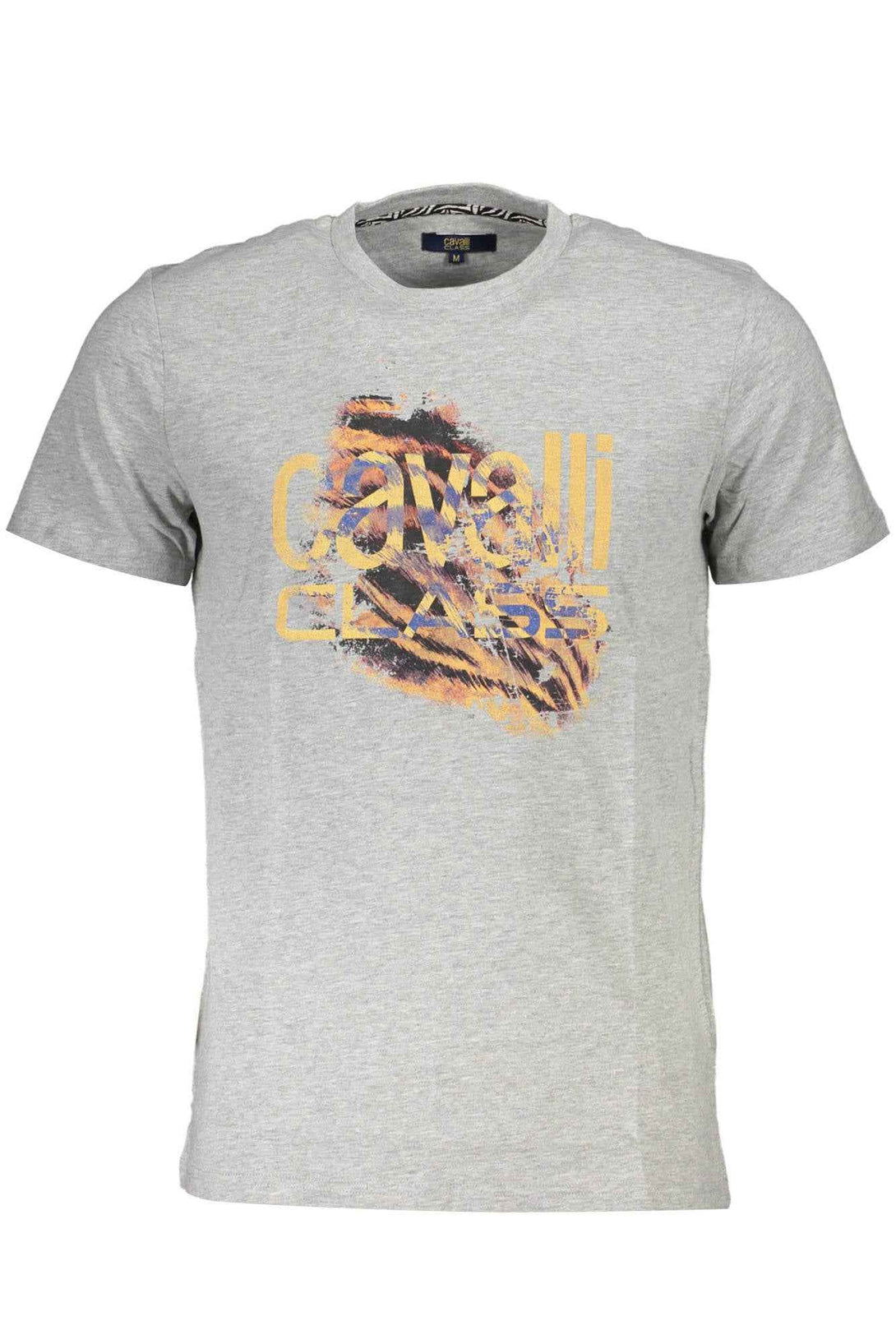 Cavalli Class T-shirts Homme Gris - stylesgateway