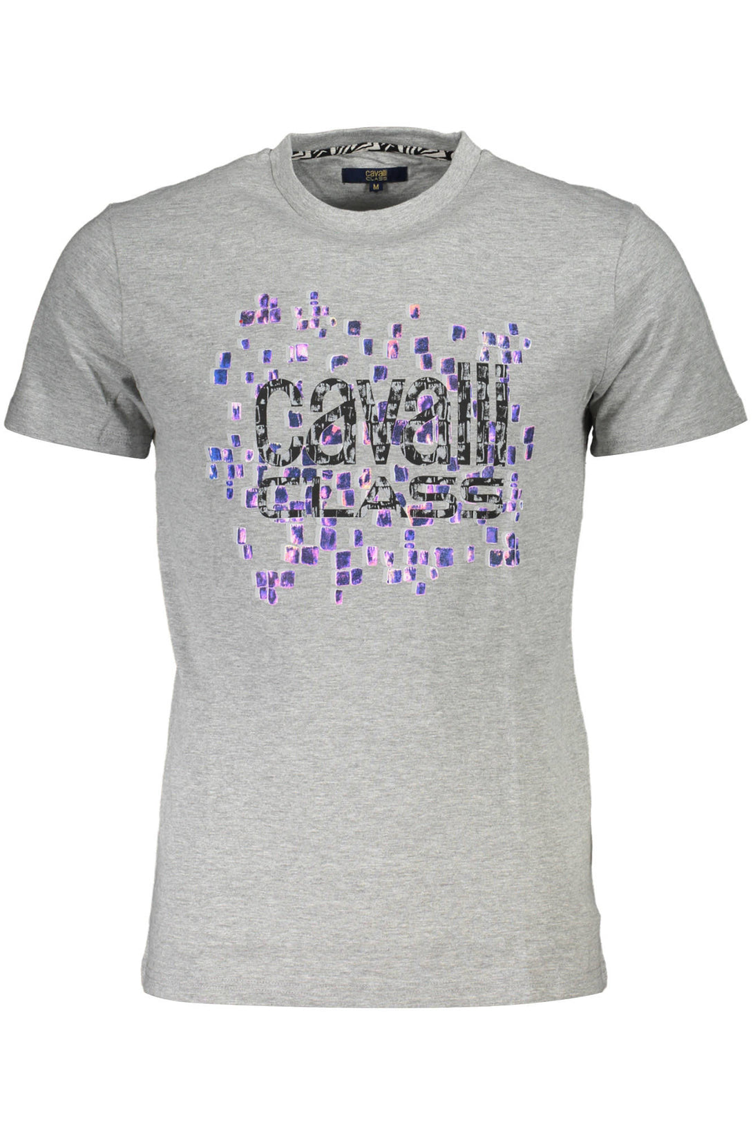 Cavalli Class T-shirts Homme Gris - stylesgateway