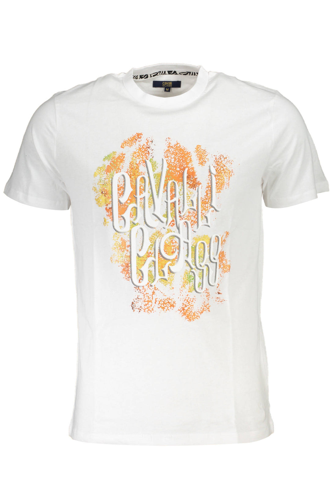 Cavalli Class T-shirts Homme Gris - stylesgateway